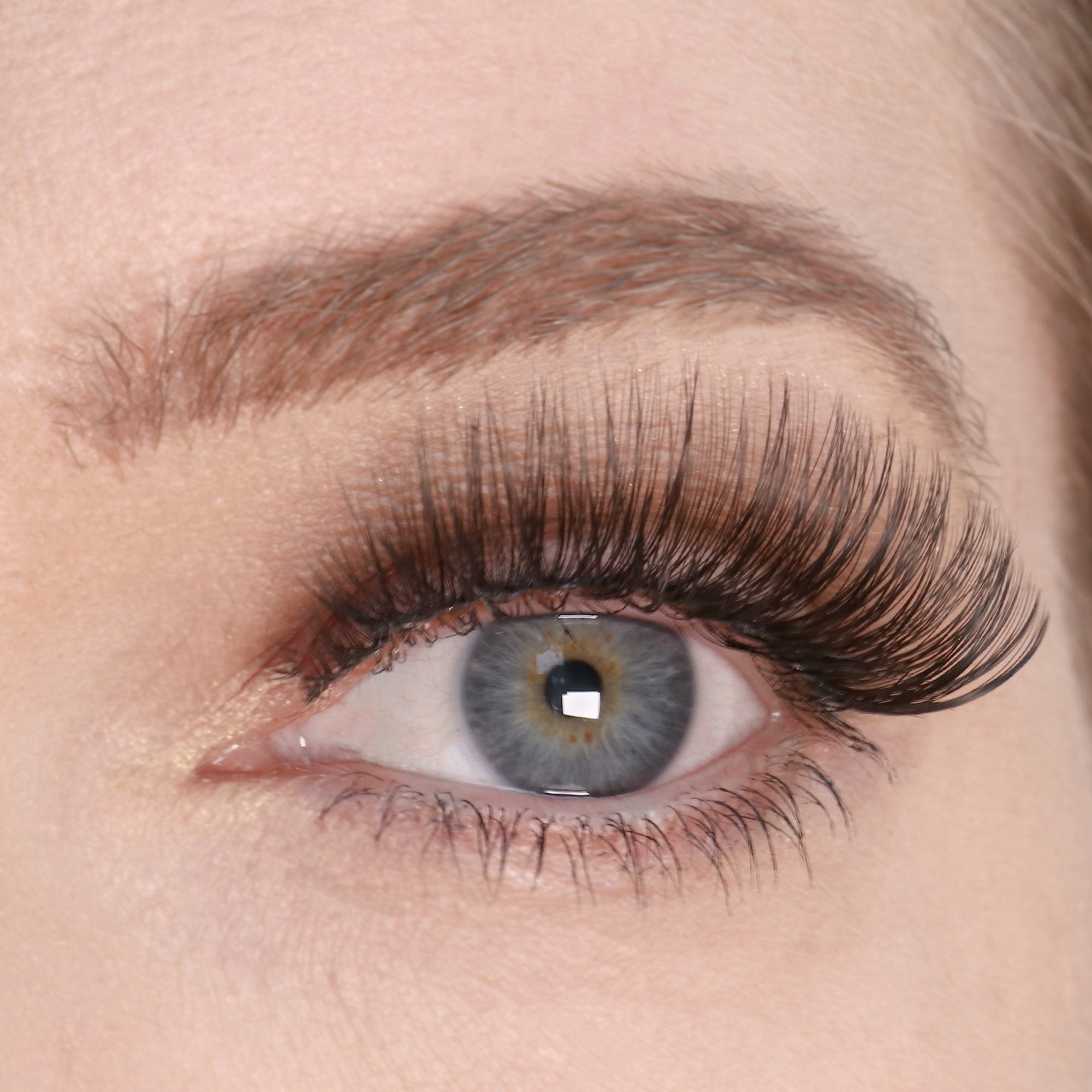 Full Volume Lashes | Adore