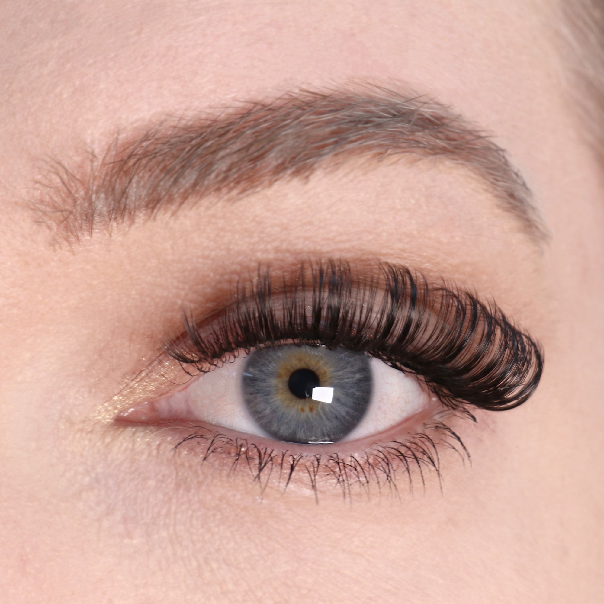 Full Volume Lashes | Captivate