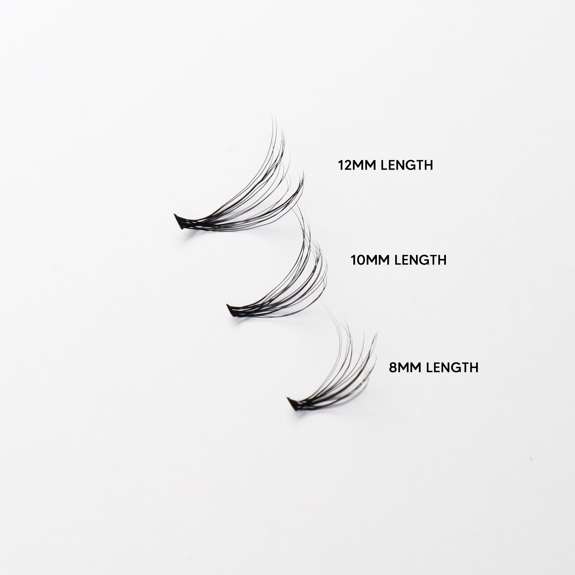 Individual Lashes | 8mm, 10mm, 12mm | C-Curl | 20D