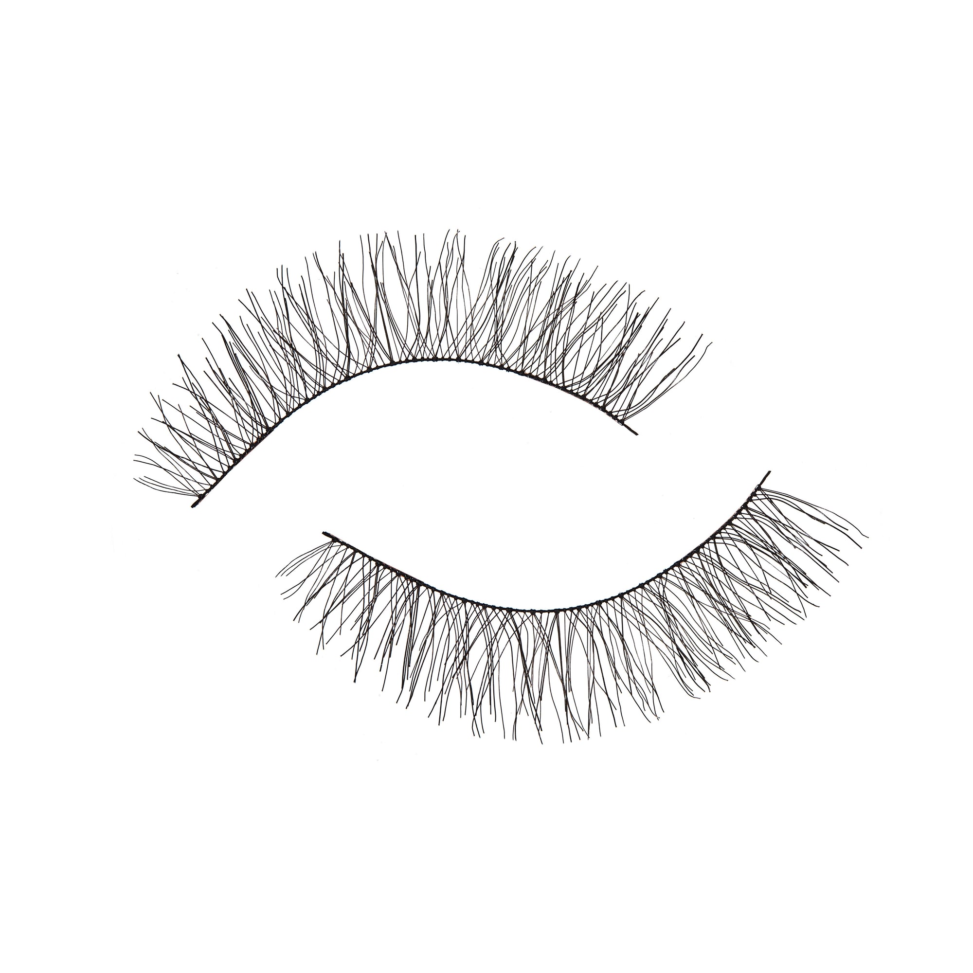 "The Innocent" False Lashes