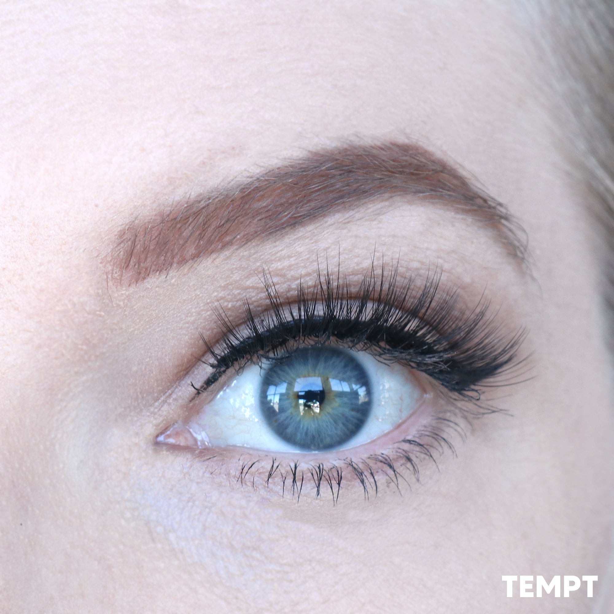 Magnetic Lashes | Tempt