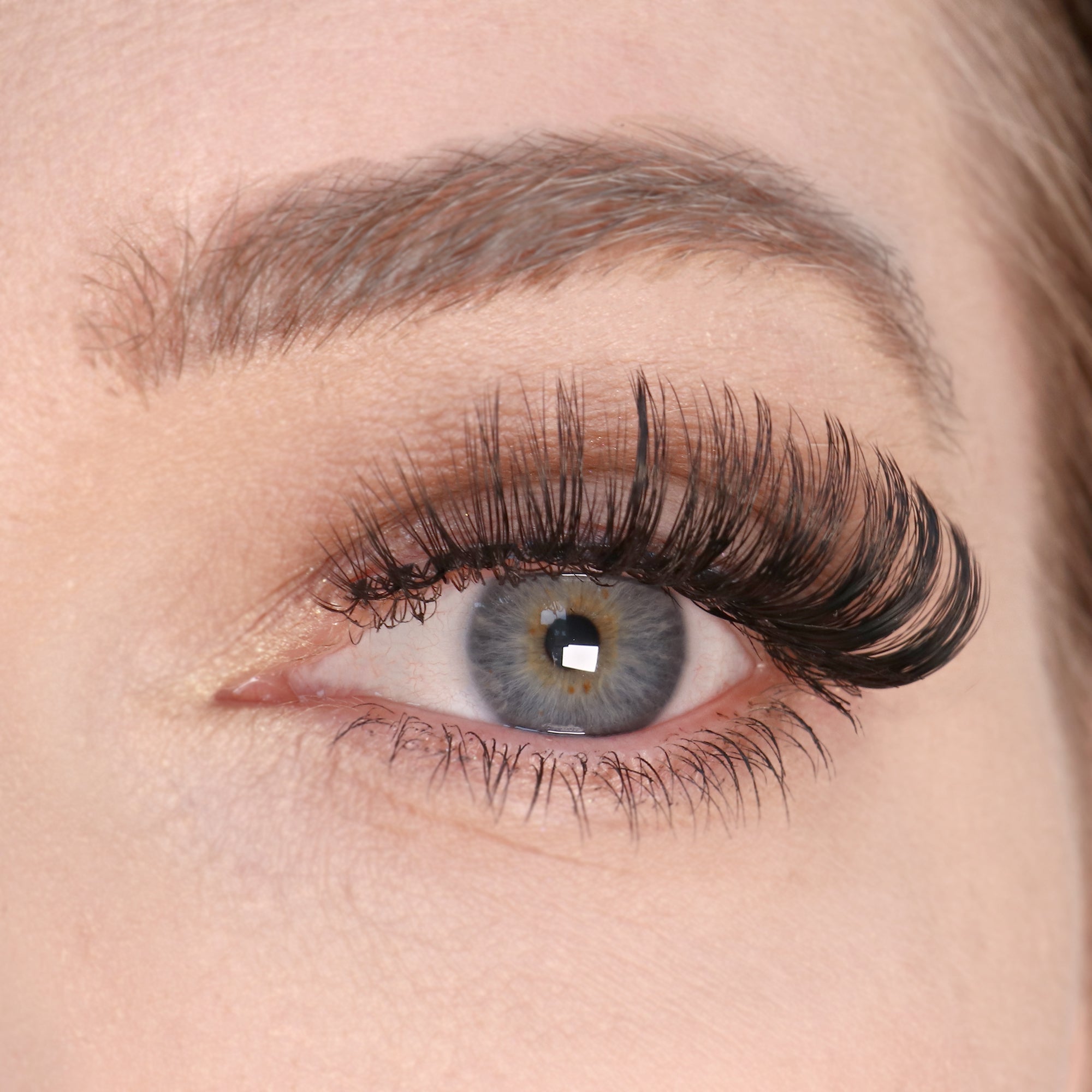 Full Volume Lashes | Enchant